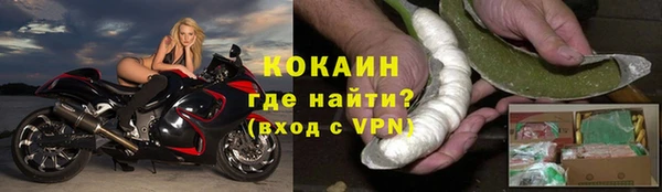 винт Дмитриев