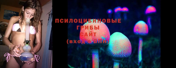 каннабис Дмитров