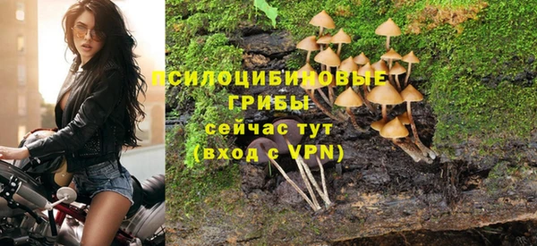 каннабис Дмитров
